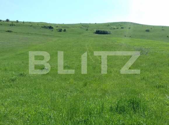 Teren de vânzare Apahida - 31557TV | BLITZ Cluj-Napoca | Poza1