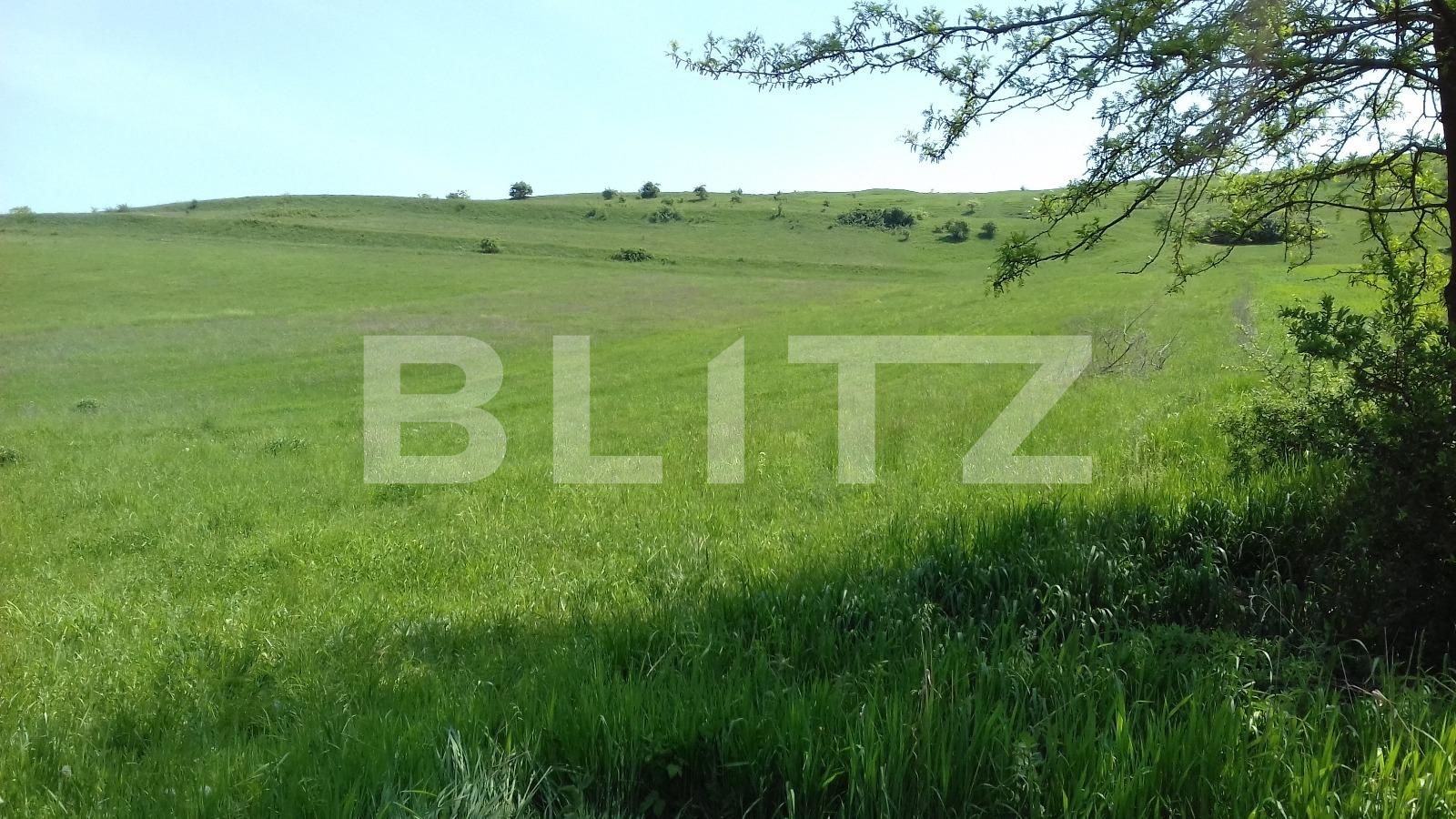 Teren de vânzare Apahida - 31557TV | BLITZ Cluj-Napoca | Poza2