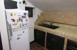 Apartament 2 camere, 60 mp,  pet friendly, zona strazii Paris