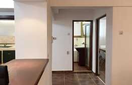 Apartament 2 camere, 60 mp,  pet friendly, zona strazii Paris