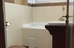 Apartament 2 camere, 60 mp,  pet friendly, zona strazii Paris