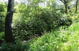 Casa individuala, 120 mp, 1000 mp teren, zona linistita!