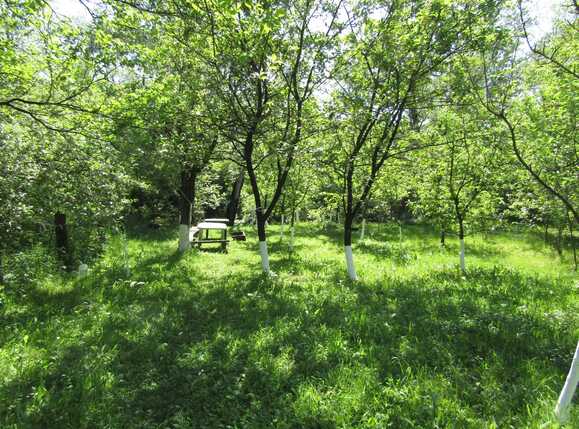 Casa de vânzare 4 camere Baciu - 31568CV | BLITZ Cluj-Napoca | Poza11