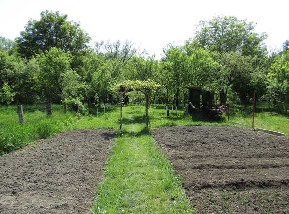 Casa de vânzare 4 camere Baciu - 31568CV | BLITZ Cluj-Napoca | Poza9