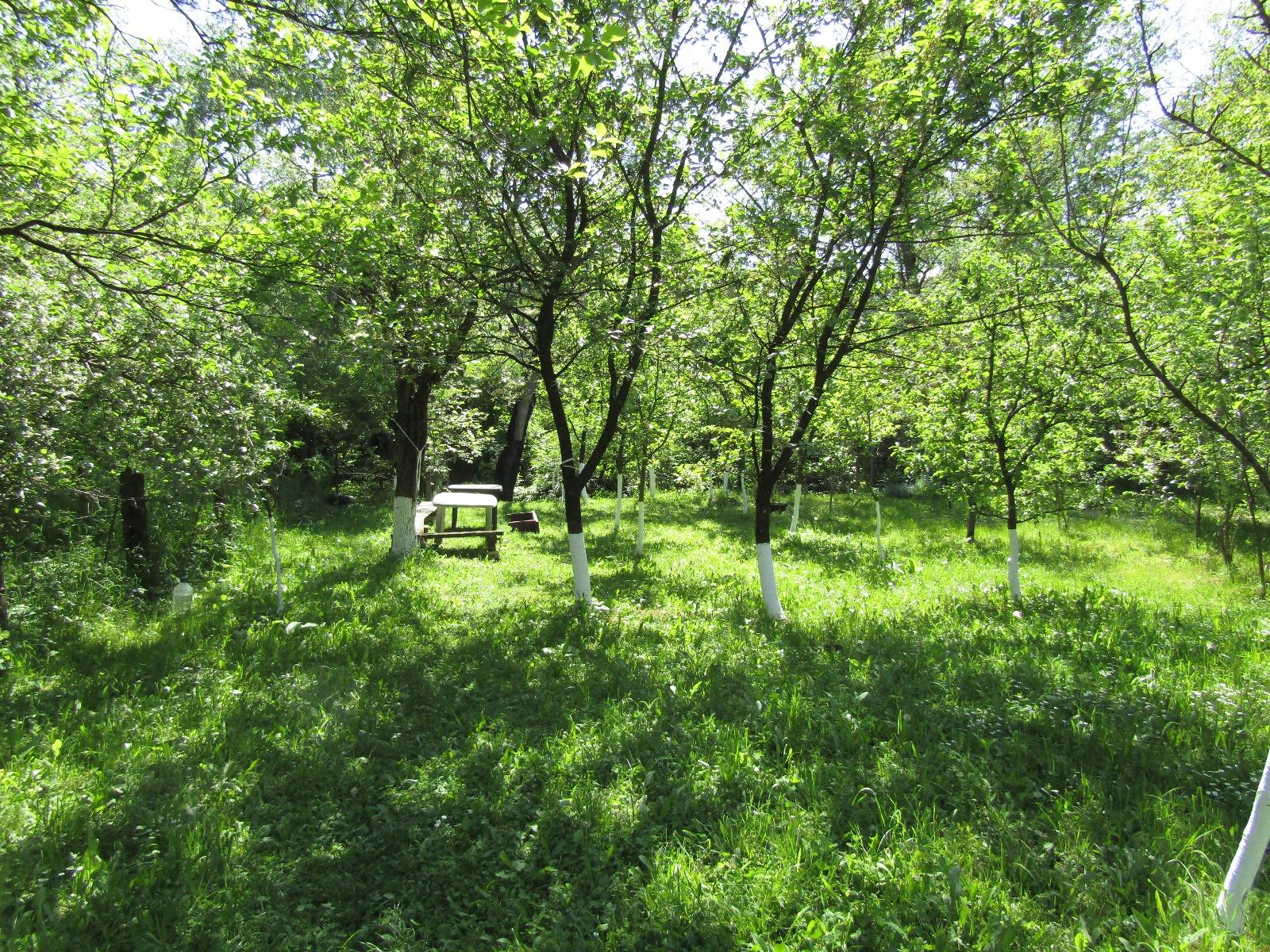 Casa de vânzare 4 camere Baciu - 31568CV | BLITZ Cluj-Napoca | Poza11