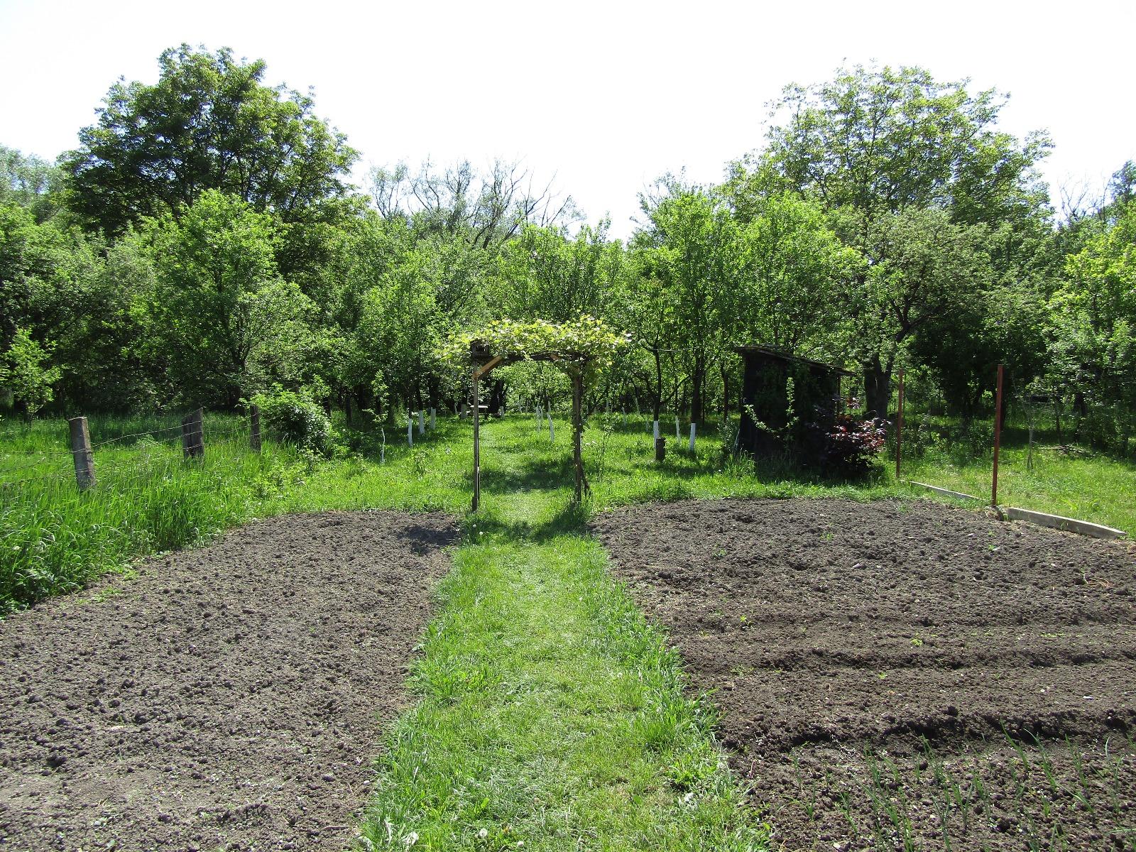 Casa de vânzare 4 camere Baciu - 31568CV | BLITZ Cluj-Napoca | Poza9