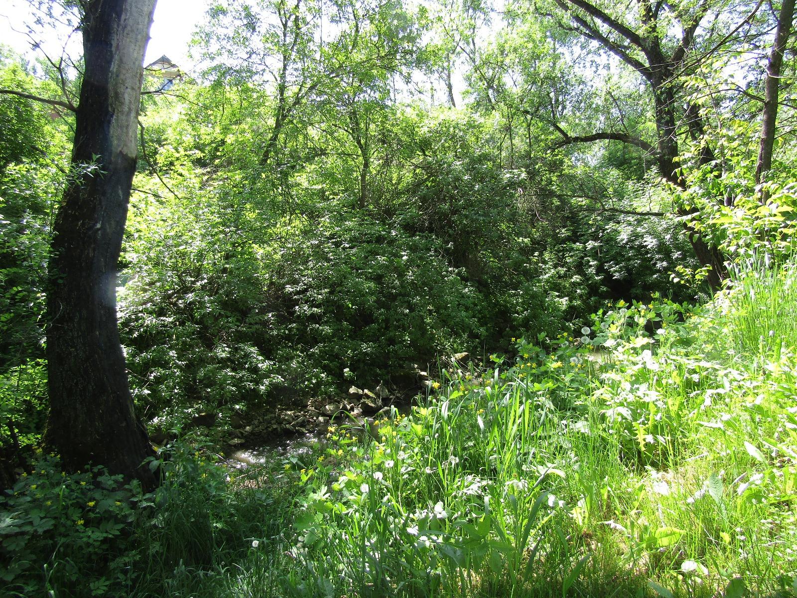 Casa de vânzare 4 camere Baciu - 31568CV | BLITZ Cluj-Napoca | Poza10