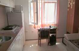 De vanzare garsoniera, 15 mp, boxa, zona strazii Campului