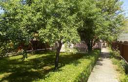 Casa individuala de 80 mp utili, teren de 600 mp! Zona Tauti!