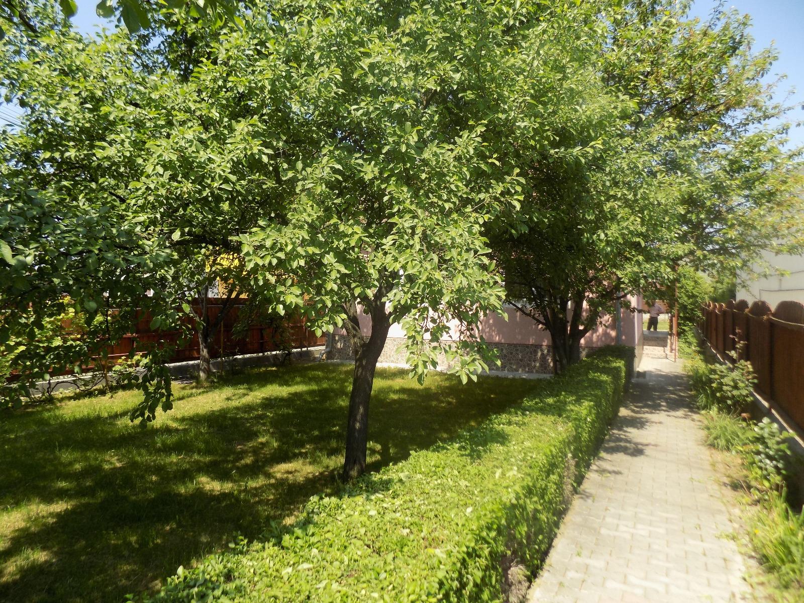 Casa de vânzare 3 camere Floreşti - 31586CV | BLITZ Cluj-Napoca | Poza11