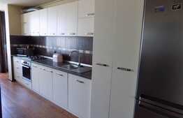 Apartament  2 camere 43 mp, LA CHEIE! Loc de parcare! Zona strazii Tineretului!