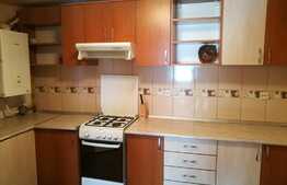 Apartament cu 1 camera, 48 mp, decomandat, zona strazii Campului