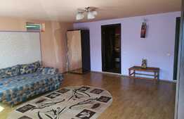 Apartament cu 1 camera, 48 mp, decomandat, zona strazii Campului