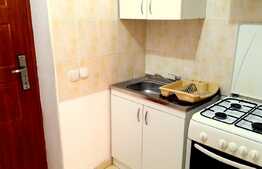 Garsoniera 24 mp, mobilata moderna, zona stadion CFR