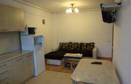 Apartament 1 camera, 47 mp, mobilat modern, zona Iulius Mall