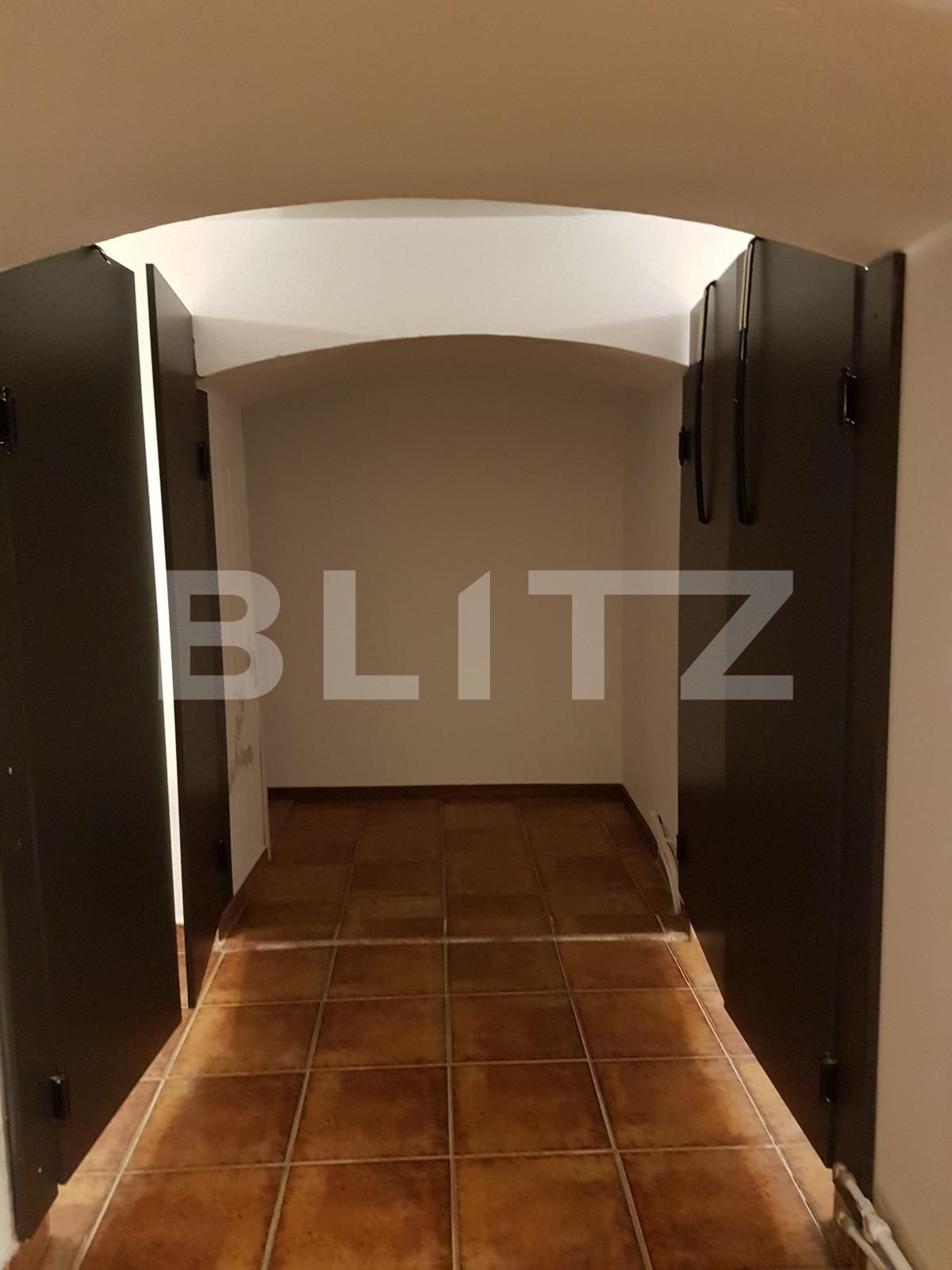 Spațiu comercial de închiriat Central - 31617SIC | BLITZ Cluj-Napoca | Poza4