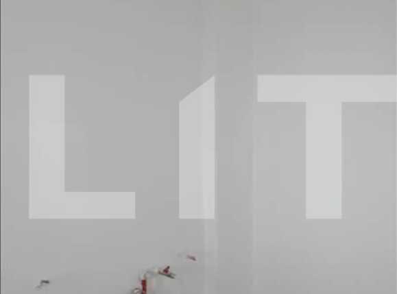 Apartament de vânzare 2 camere Zorilor - 3162AV | BLITZ Cluj-Napoca | Poza3