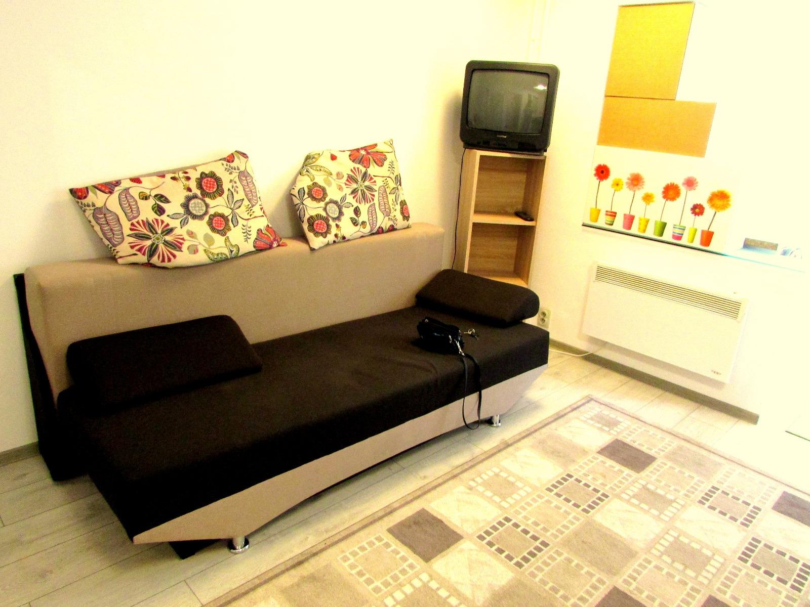 Garsonieră de închiriat Plopilor - 31625AI | BLITZ Cluj-Napoca | Poza2