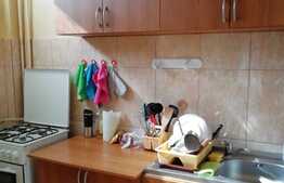 Garsoniera, 30 mp, mobilata modern, zona Complex Mercur