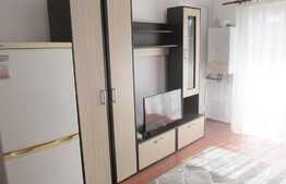 Apartament 2 camere, 43 mp, etaj intermediar, zona Porii