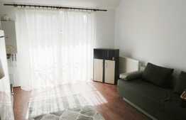 Apartament 2 camere, 43 mp, etaj intermediar, zona Porii