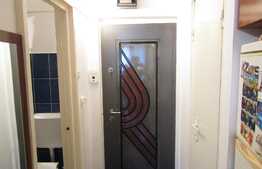 De vanzare garsoniera 32 mp, boxa, zona Profi