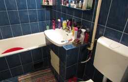 De vanzare garsoniera 32 mp, boxa, zona Profi