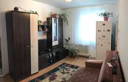 Apartament 2 camere, 28 mp, etaj intermediar, zona Hermes
