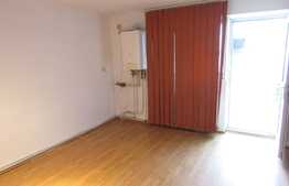 De vanzare garsoniera, 24.50 mp, parcare, zona strazii Frunzisului