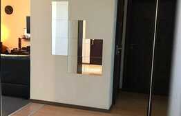 Apartament 3 camere, 110 mp, 2 balcoane, garaj subteran, zona Apelor Romane