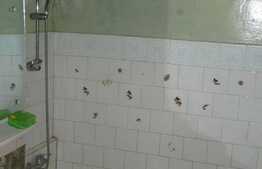 Apartament 3 camere, 62 mp, etaj intermediar, zona Universitatea Bogdan Voda