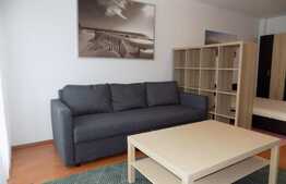 Apartament 1 camera, 42 mp, mobilat modern, zona Complex Nora