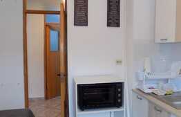 Apartament 1 camera, 42 mp, mobilat modern, zona Complex Nora