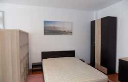 Apartament 1 camera, 42 mp, mobilat modern, zona Complex Nora