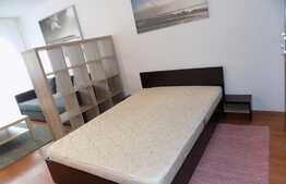 Apartament 1 camera, 42 mp, mobilat modern, zona Complex Nora