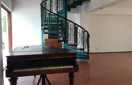 Imobil deosebit pentru birouri in Andrei Muresanu!