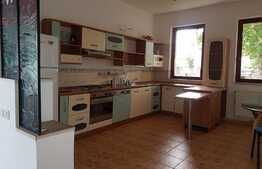 Imobil deosebit pentru birouri in Andrei Muresanu!