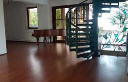 Imobil deosebit pentru birouri in Andrei Muresanu!