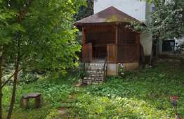 Imobil birouri, 190 mp, zona Piata Cipariu!