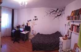 De vanzare garsoniera, 26.25 mp, boxa, zona Casa Vikingilor