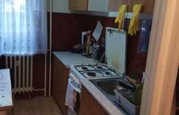 De vanzare garsoniera, 26.25 mp, boxa, zona Casa Vikingilor