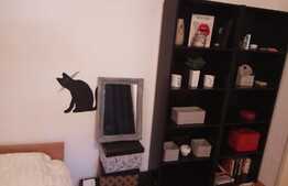 De vanzare garsoniera, 26.25 mp, boxa, zona Casa Vikingilor