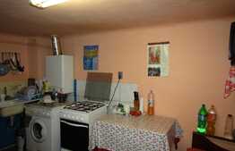 Casa de vanzare, 50 mp, 230 mp teren, zona Facultatii de Mecanica