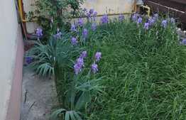 De vanzare garsoniera 40 mp, decomandata, boxa, zona strazii Oasului