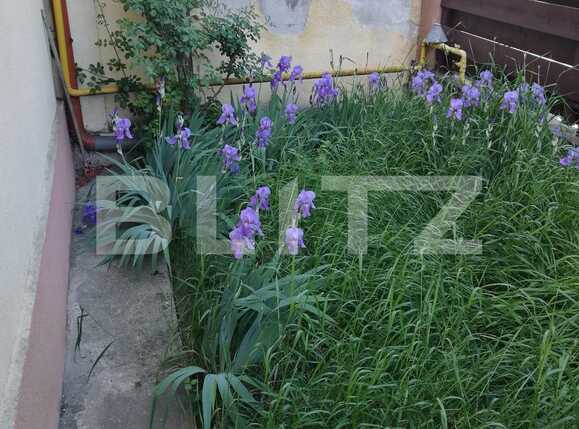 Garsonieră de vânzare Iris - 31703AV | BLITZ Cluj-Napoca | Poza6