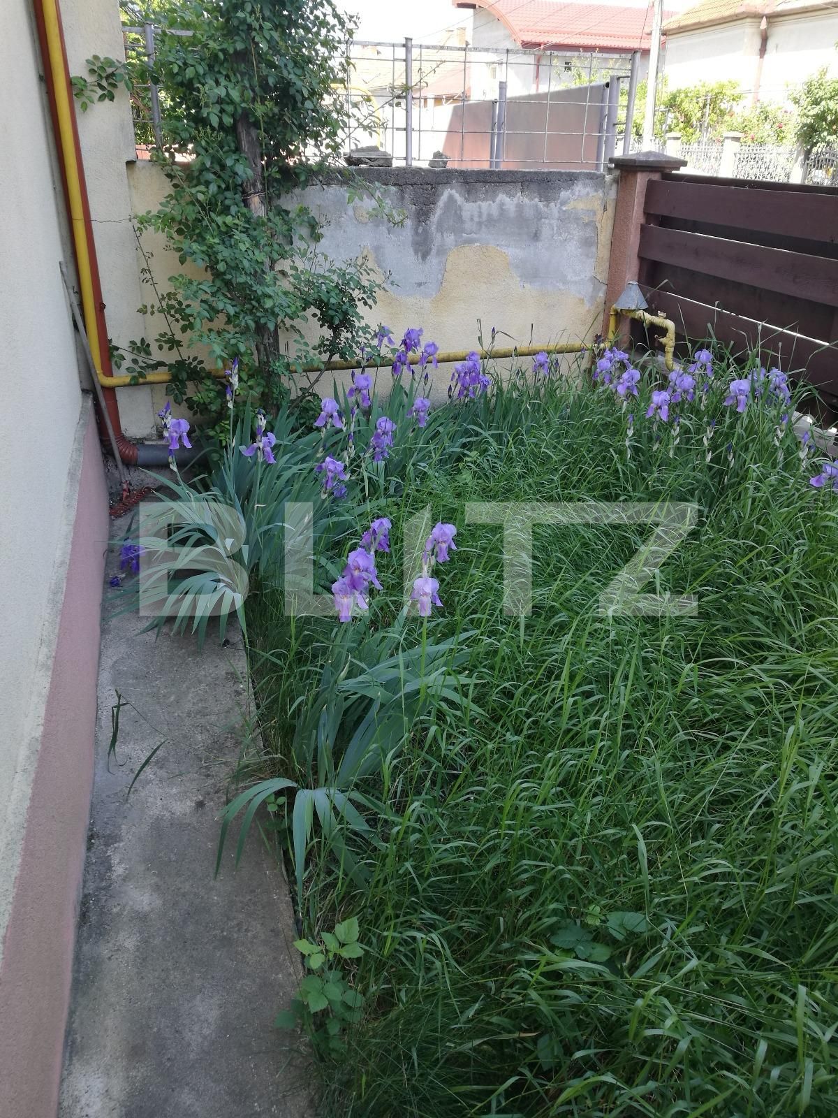 Garsonieră de vânzare Iris - 31703AV | BLITZ Cluj-Napoca | Poza6
