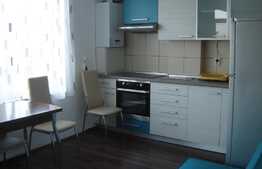 Apartament 1 camera, 46 mp, decomandat, zona strazii C-tin Brancusi