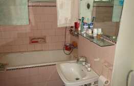 Apartament 2 camere, 53 mp, pet friendly,  zona Albac