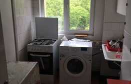 Apartament 2 camere, 53 mp, pet friendly,  zona Albac