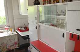 Apartament 2 camere, 53 mp, pet friendly,  zona Albac